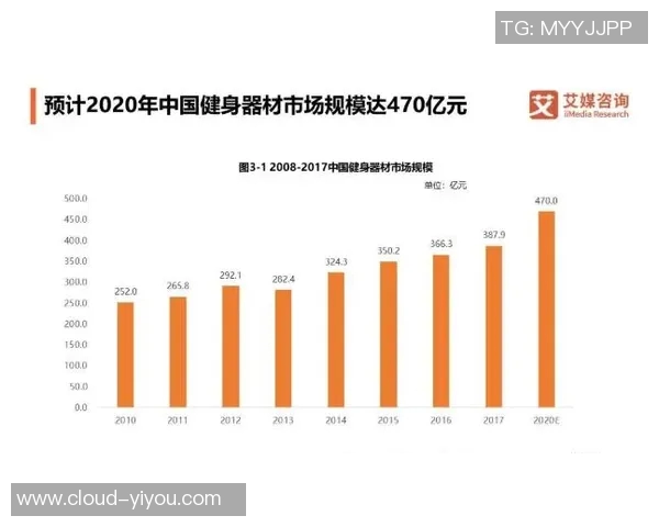 2023年全球体育器材品牌排名分析与市场趋势解读